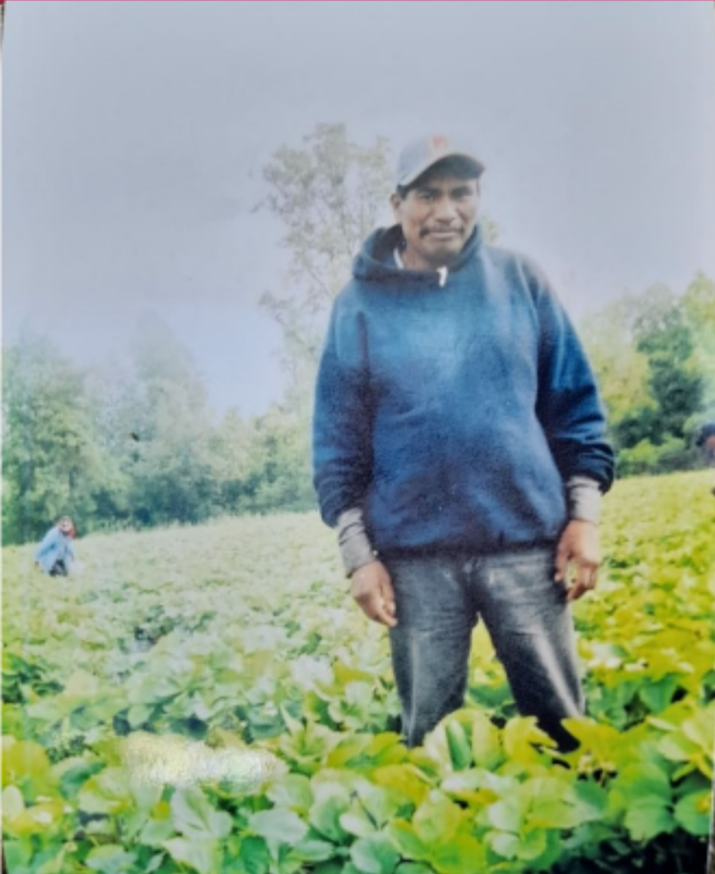 Mariano Hernández Gómez